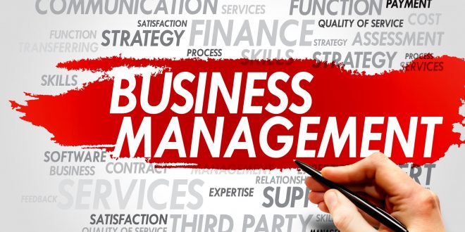 These 5 Business Management Facts to Help You Choose a Career
