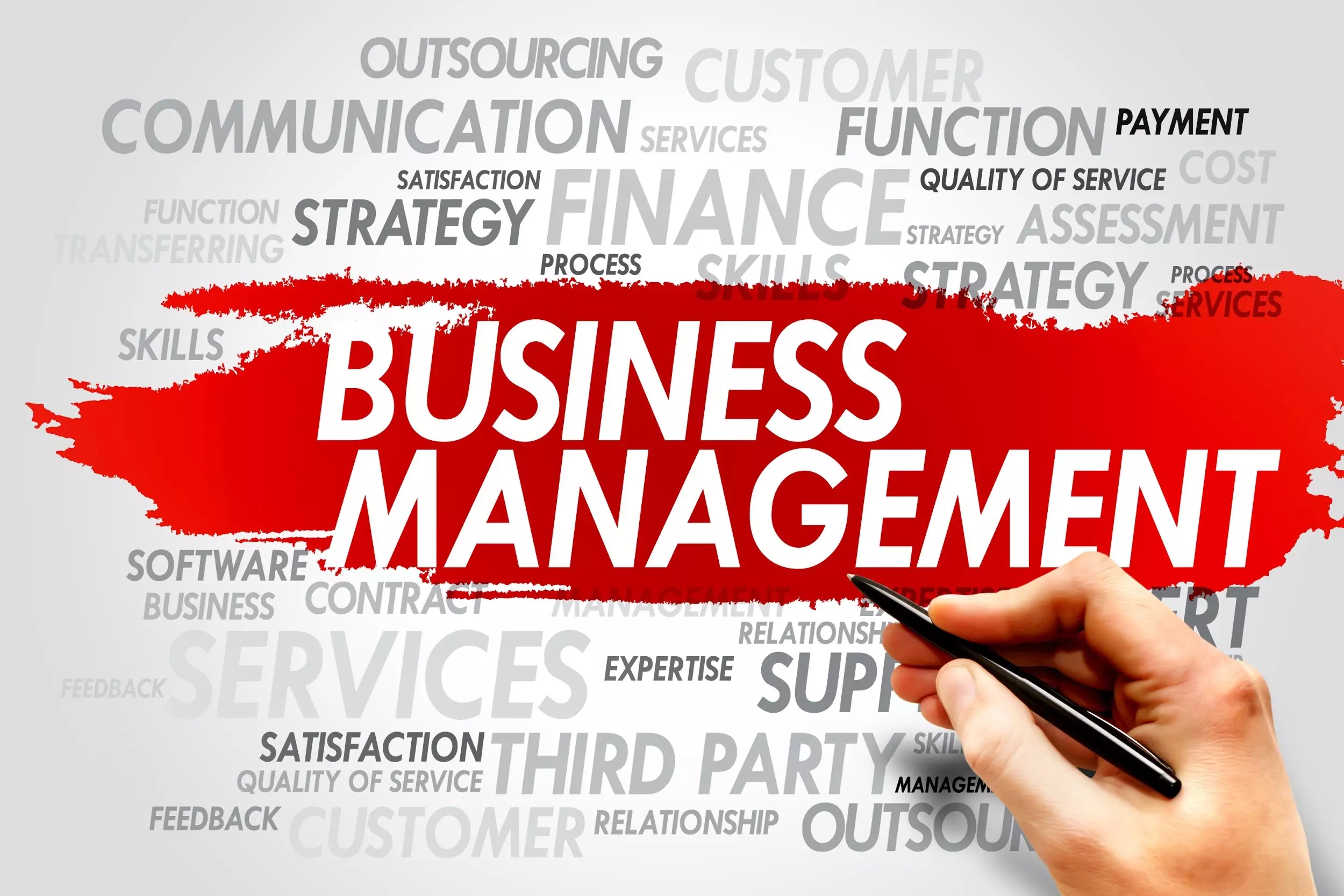 What Classes For Business Management