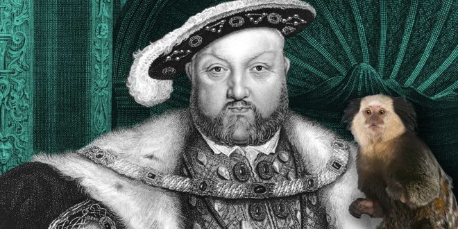 What Was in the Collection of Bizarre Objects That Henry VIII Owned?