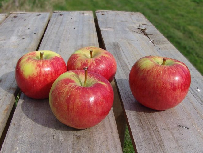 Organic Apples