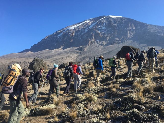 Kilimanjaro – The roof of Africa (Tourist Guide) - Vermont Republic