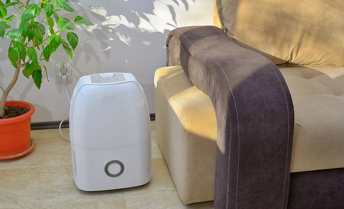 The Benefits of Using Dehumidifiers In Your Home Vermont Republic