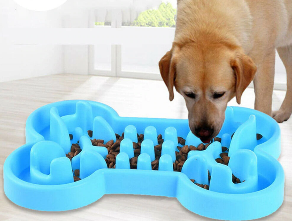benefits of a slow feeder dog bowl