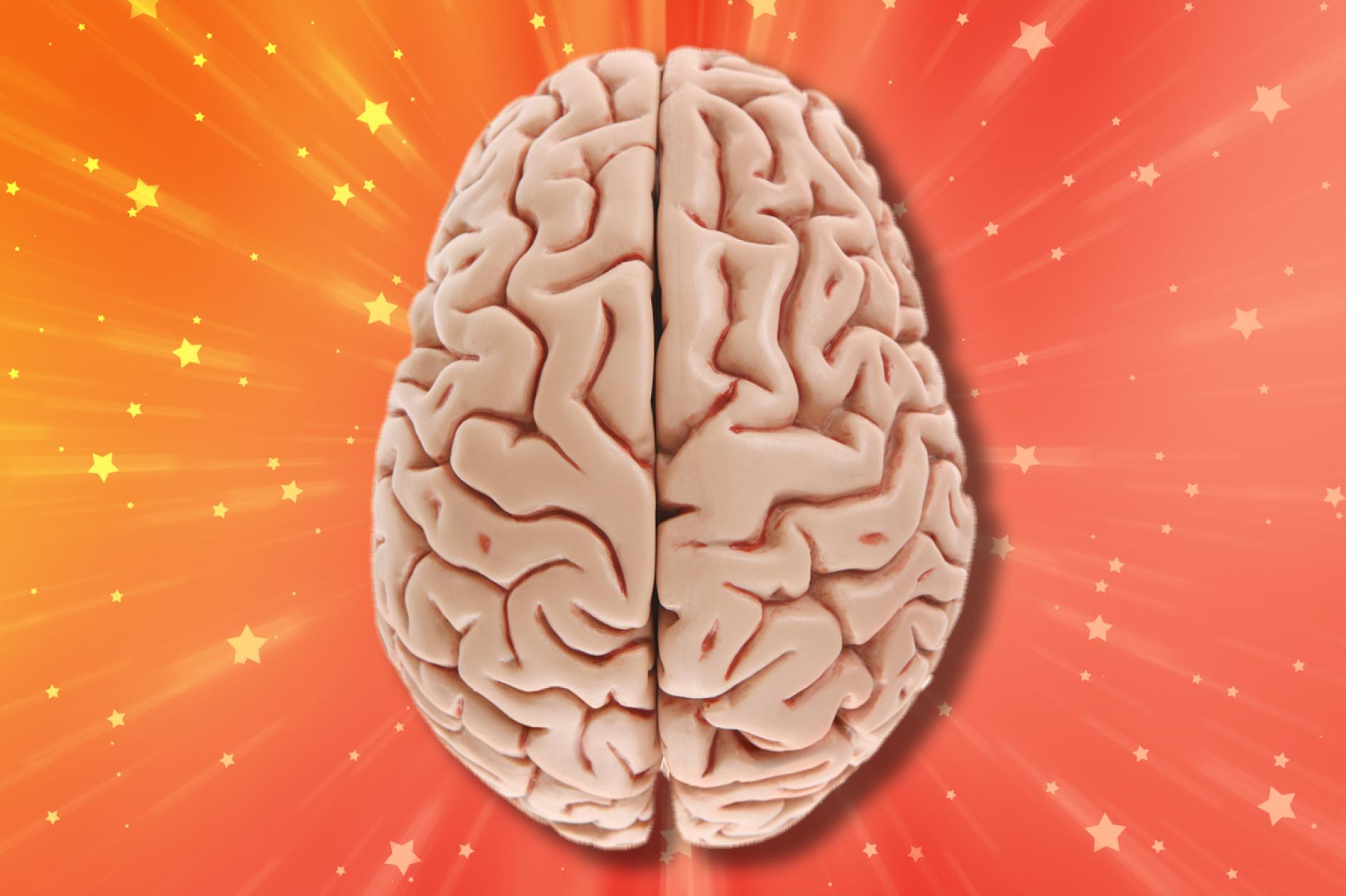 Brain 2024. Brain Quiz. Ab/CD - Caveman Brain (2023).