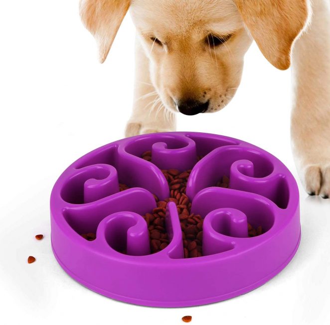 slow feeder dog bowl short snout