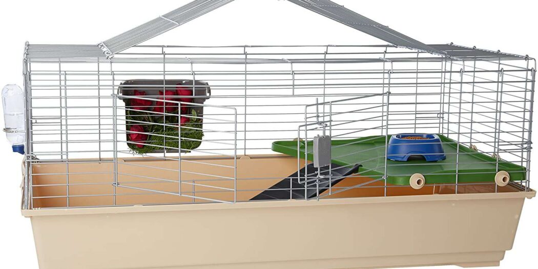 Best Cages for Guinea Pigs Vermont Republic