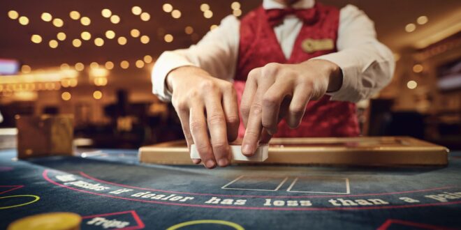 From Roulette to Poker A Deep Dive Into Casino Game Personalities