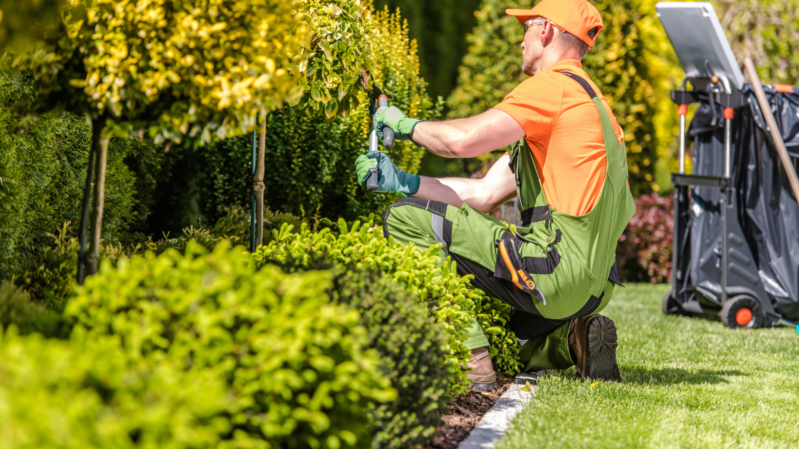 Transform Your Outdoor Space with Professional Landscape Services ...