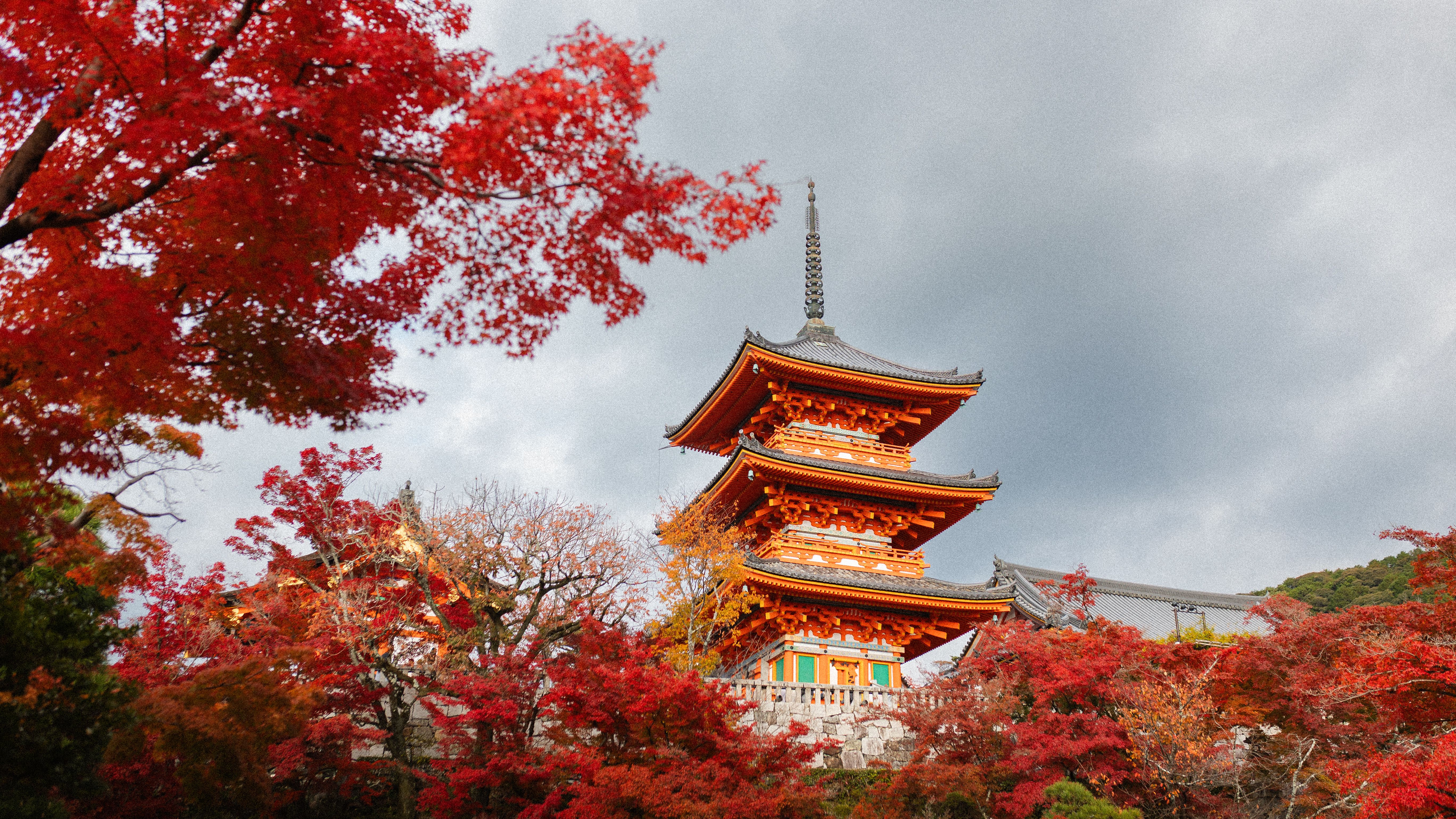 Kiyomizu-dera Temple in Kyoto surrounded by autumn foliage