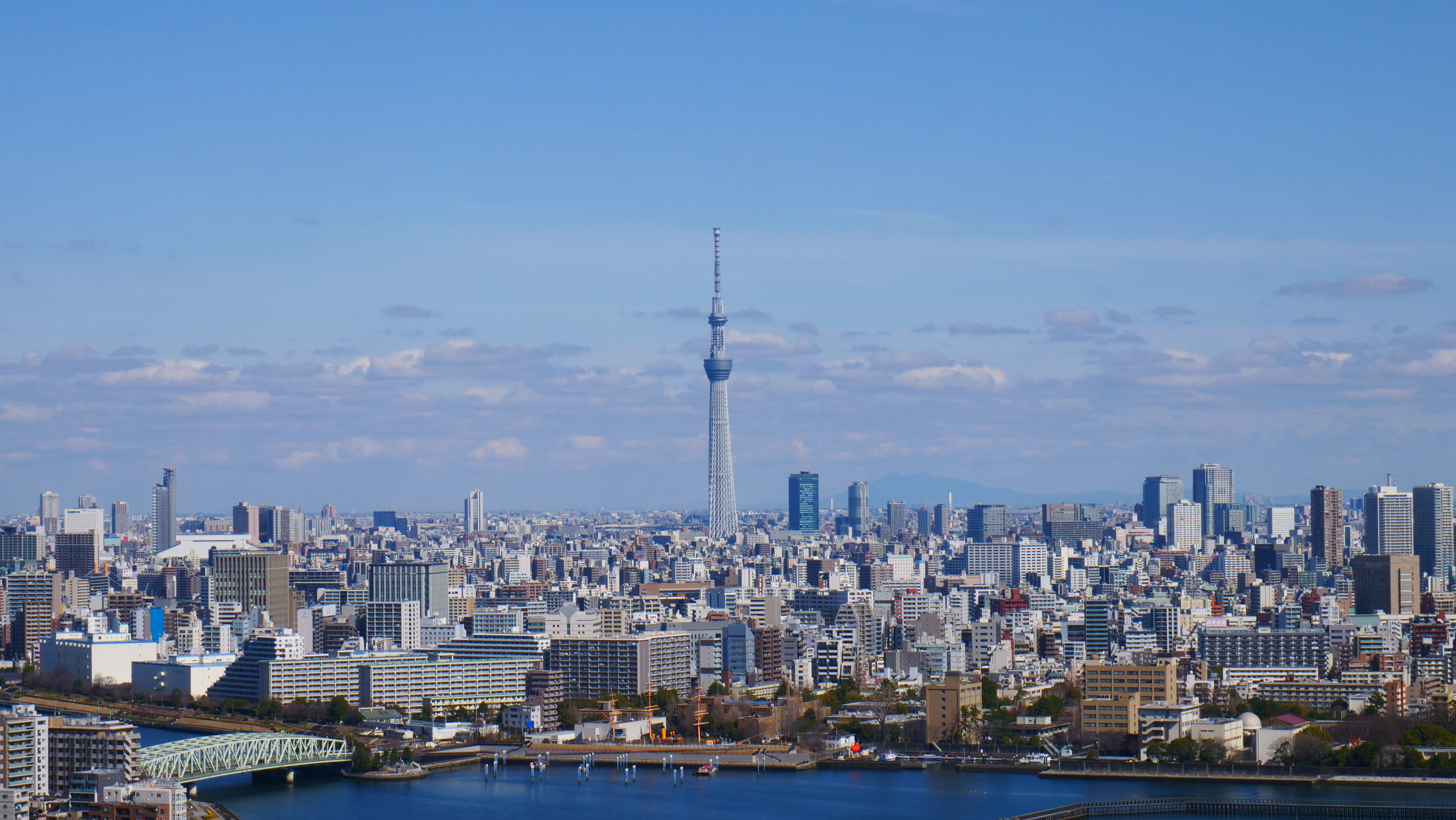 Aerial view of Tokyo skyline featuring Tokyo Skytree under a clear blue sky.